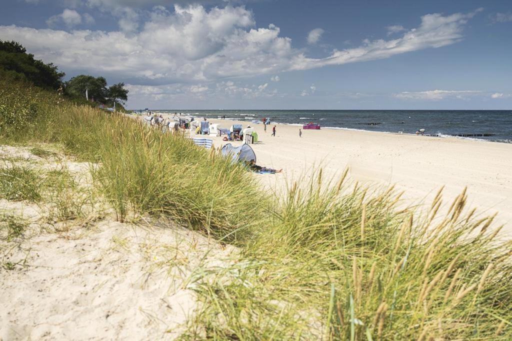 Ferienwohnung Tor Zum Meer - Neubau Mit Sauna, Fahrstuhl Und Tiefgarage Ostseebad Kühlungsborn Eksteriør bilde