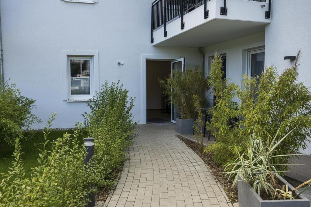 Ferienwohnung Tor Zum Meer - Neubau Mit Sauna, Fahrstuhl Und Tiefgarage Ostseebad Kühlungsborn Eksteriør bilde